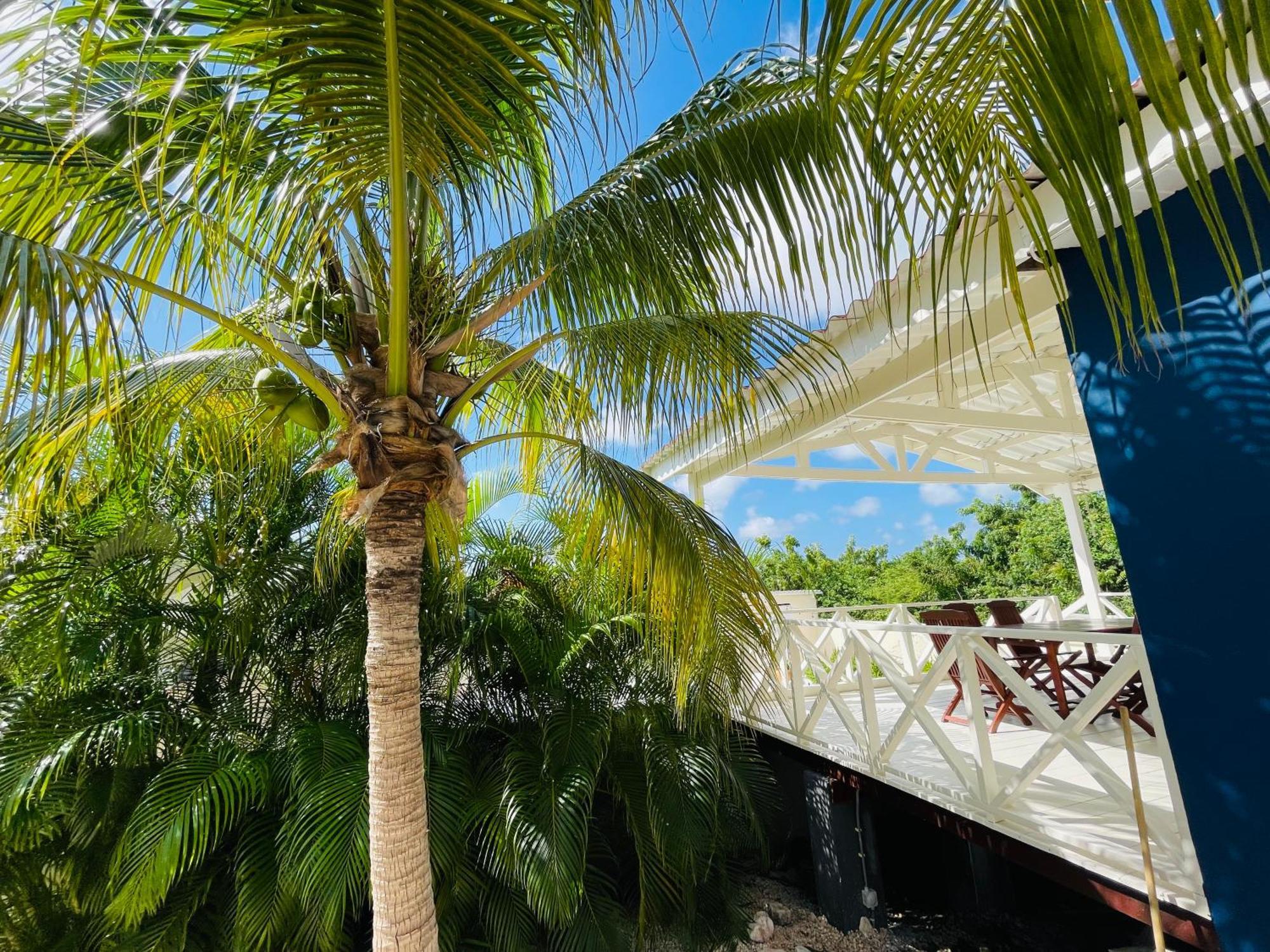 Mini Resort Kaya Verdi Willemstad Zewnętrze zdjęcie